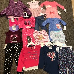 17 piece Baby Girl Clothes Lot NWT!!!